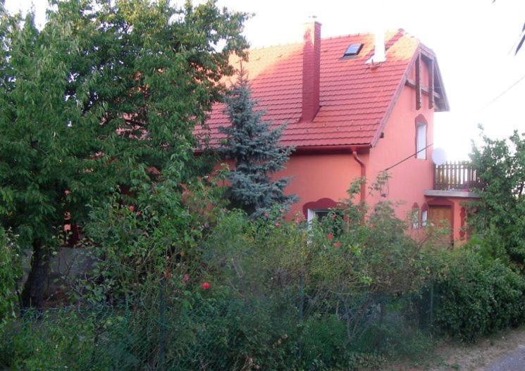 Valeria Vendeghaz Apartment Budakalasz Luaran gambar
