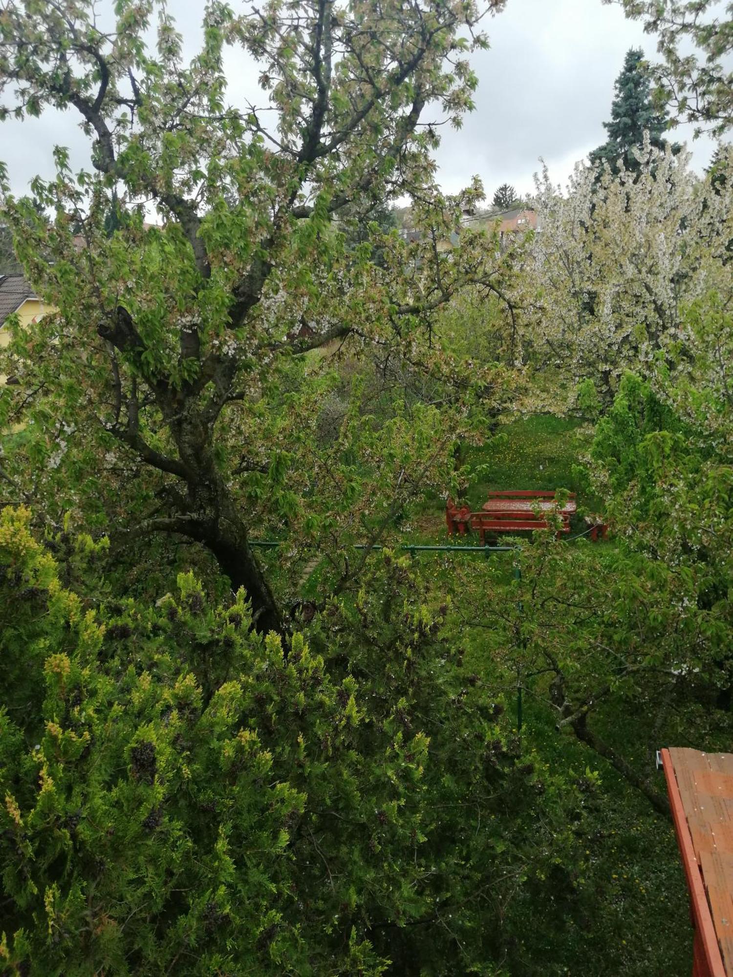 Valeria Vendeghaz Apartment Budakalasz Luaran gambar